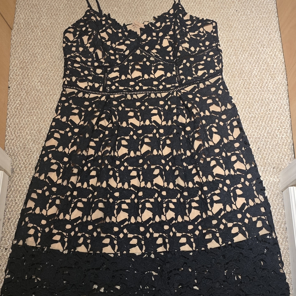 Elegant Black Lace Overlay Dress